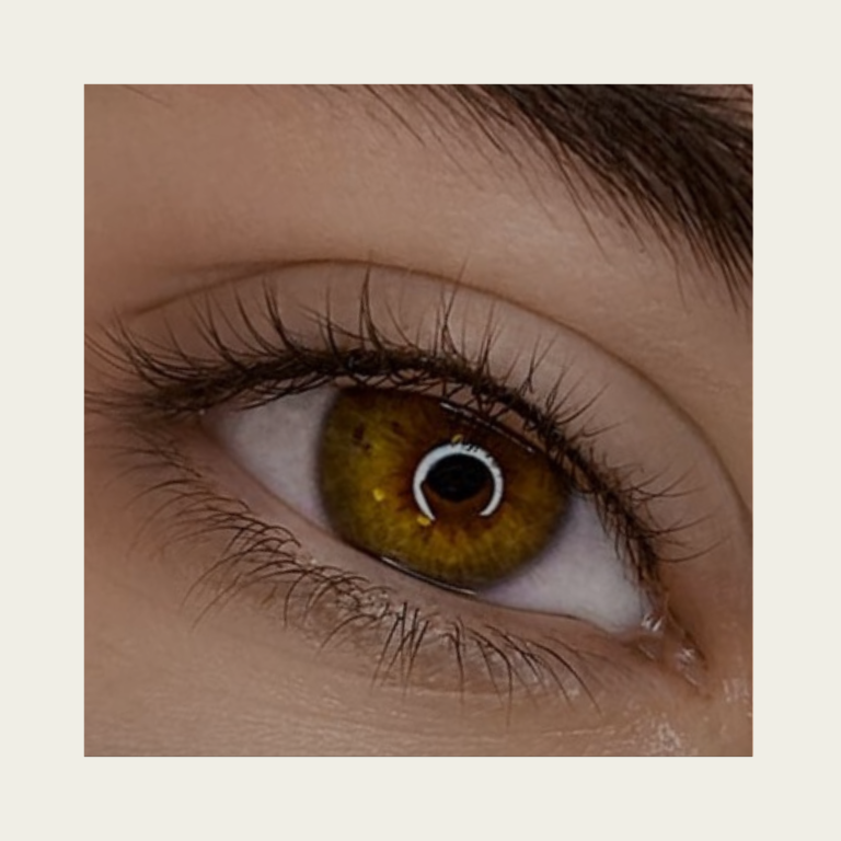 Powder Eyes Wimpernkranzverdichtung oben in Pudertechnik