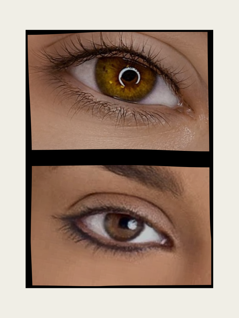 Full Powder Eyes Wimpernkranz oben und unten für den perfekten Augenaufschlag bei awacosmetics